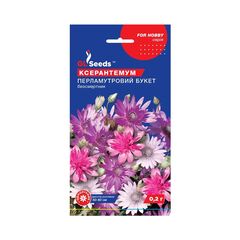 Xeranthemum flower seeds 0.2 g