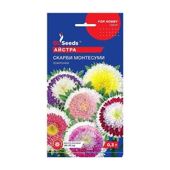 Aster flower seeds 0.3 g