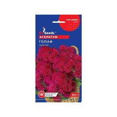 Ageratum flower seeds 0.1 g