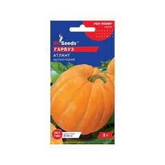 Pumpkin seeds 3 g