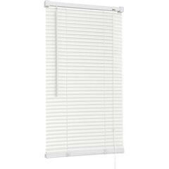 Horizontal blinds Delfa NO.RF-M-009 40x160 cm