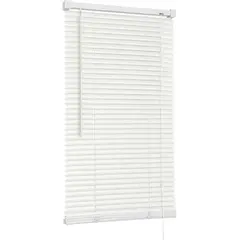 Horizontal blinds Delfa NO.RF-M-009 40x160 cm