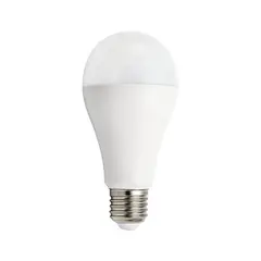 Lamp NEWPORT LED E27 15W 4000K A65