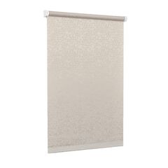 Рулонная штора Delfa СРШ-01М-8281 47(43)x170 см