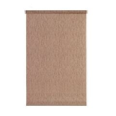 Roller shade Delfa СРШ-01М-2281 48x170 cm