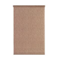 Roller shade Delfa СРШ-01М-2281 57x170 cm