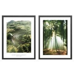 Picture Styler FR442 WOODS 2x30x40 cm