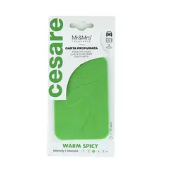 Ароматизатор Mr&Mrs Fragrance Cesare Cards Green Warm Spicy