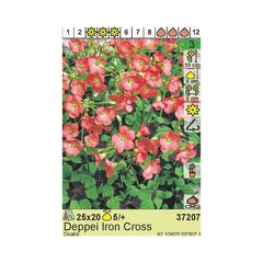 ბოლქვოვანი HBM BES Oxalis Deppei Iron Cross (x20)