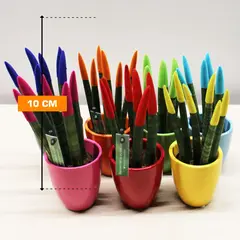 Сансевиерия Sansevieria cylindrica 6/18