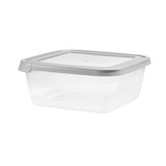 Storage container with lid Domotti ALBERT 43225 900ml gray