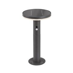 Luminaire with solar cells and motion sensor Rabalux Alaska LED 10W 4000K IP44 77018