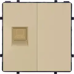 Socket Socket Internet 1 RJ45 gold