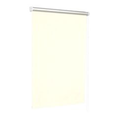 Roller shade Delfa СРШ-01М-7900 48x170 cm