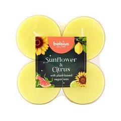 სანთელი ჩაის არომატული Bolsius sunflower citrus 8 სთ 8 ც