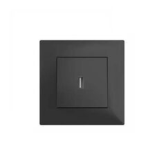 როზეტი LEGRAND ჩარჩოს გარეშე USB შავი