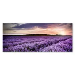 Картина на стекле Styler LAVENDER FIELD EX372 50X125