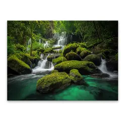 Capture Styler GL500 MUNDANG GL-14350 80X120 cm