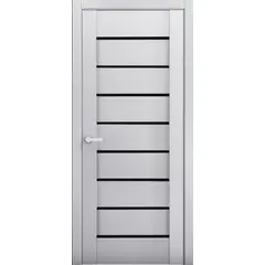 Door block Terminus ELIT PLUS gray matt №112  38x800x2150 mm