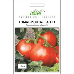 Tomato seeds ELITSORT Montalban F1 10 pc