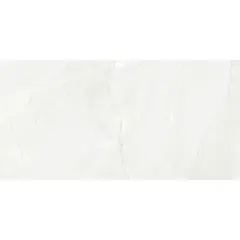 კაფელი Itaca ETANIA SILVER GLOSSY 300X600მმ