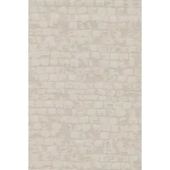 Штора Delfa Alba СРШ-03-8281 220/170 см бежевая