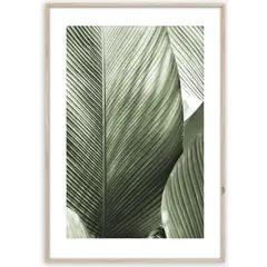 Picture in frame Styler Marco BR002 50X70 cm