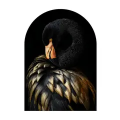 Картина на стекле Styler GS005 BLACK ARCHED 70X100 см