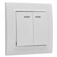 Switch with backlit EKF ERV10-123-10 2 key white
