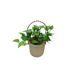 Artificial plant 0451-30