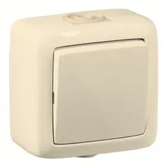 Switch white HEGEL MASTER ВА10-211
