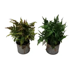 Artificial plant 0451-18