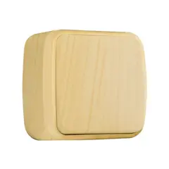 Switch EKF 10A light brown 1 key