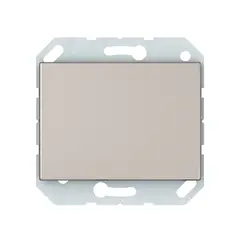 Switch without frame Vilma Express XP 500 1 key champagne