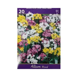 ბოლქვოვანი HBM BES Allium Mixed (x20)