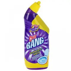Cleaner for toilet Cillit Bang Power of spring 750 ml