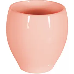 Toothbrush tumbler Spirella BALI APRICOT