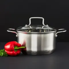 Stainless Steel Pot Hugo AMBITION 20 cm