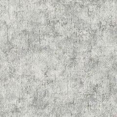 Vinyl wallpaper Expromt 5802-10 0.53x10 m