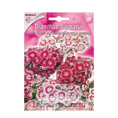 Семена гвоздики Dianthus o Chabaud DEI POETI MIX FI540-MAXIFlor