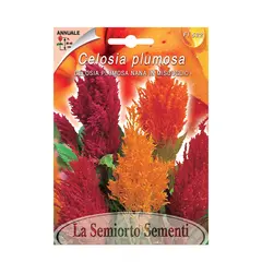 Семена целозии Celosia PLUMOSA NANA IN MISCUGLIO FI522-MAXIFlor
