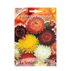 უკვდავას თესლი Helichrysum NANO DOPPIO IN MISC. FI542-MAXIFlor