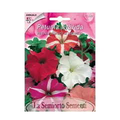 Petunia seeds Petunia Hybrid F1 IN MIXED FI582-MAXIFlor