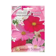 Cosmea seeds Cosmea GRANDIFLORA IN MISCUGLIO FI528-MAXIFlor