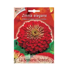 Zinnia seeds ZINNIA Red FI609-MAXIFlor