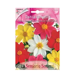 გეორგინას თესლი Dahlia NANA MIGNON SEMPLICE IN MIX FI532-MAXIFlor