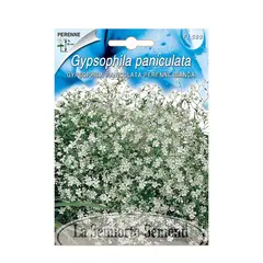 Семена гипсофилы Gipsophyla PERENNE BIANCA FI560-MAXIFlor