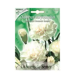 Семена белой гвоздики Dianthus caryophyllus WHITE