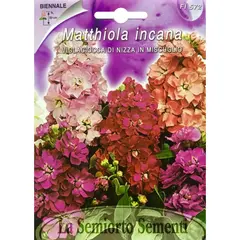 Семена Эрисимум Wallflower of NIZZA in MIX