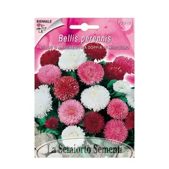 Семена Беллис Bellis o Margheritina DOPPIA IN MIX